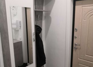 Сдача в аренду квартиры студии, 28 м2, Мытищи, проспект Астрахова, 3А, ЖК Новое Медведково