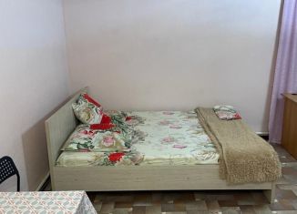 1-комнатная квартира в аренду, 30 м2, Горно-Алтайск, Бийский переулок, 25