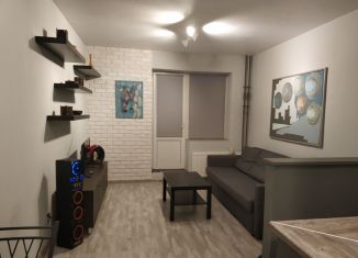 Сдаю в аренду квартиру студию, 29 м2, Мурино, проспект Авиаторов Балтики, 11/1