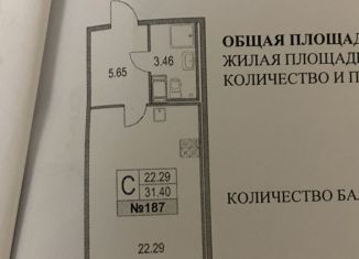 Продается квартира студия, 31.4 м2, Санкт-Петербург, Богатырский проспект, 2А, Богатырский проспект