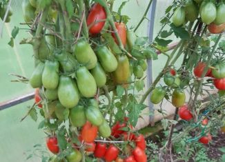 Дом на продажу, 130 м2, Ржев, Советская площадь