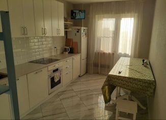 Продается 2-комнатная квартира, 58 м2, посёлок Шушары, Старорусский проспект, 6, ЖК Шушары 463