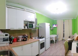 1-комнатная квартира на продажу, 58.8 м2, Новосибирск, улица Дмитрия Шмонина, 1, Кировский район