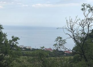 Продаю земельный участок, 1100 сот., посёлок городского типа Виноградное