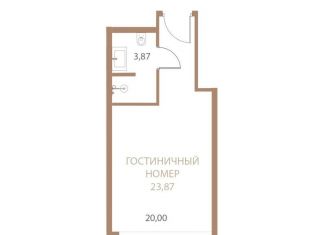 Однокомнатная квартира на продажу, 23.9 м2, Липецкая область