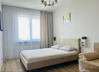 Сдается 1-комнатная квартира, 33 м2, Тольятти, Приморский бульвар, Автозаводский район
