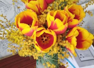 Продается земельный участок, 6.9 сот., село Ковалевское, Южная улица