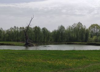 Продажа земельного участка, 31.9 сот., деревня Курегово, Школьная улица, 13