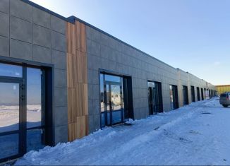 Продам торговую площадь, 39 м2, село Нагаево, Беловежская улица, 72Б