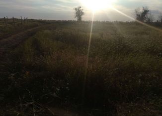 Участок на продажу, 5 сот., СНТ Химик-3