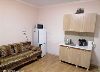 Продаю квартиру студию, 19.4 м2, село Орловка, Качинское шоссе, 33А