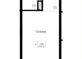 Продаю однокомнатную квартиру, 42.4 м2, Светлогорск