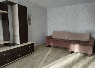 Сдаю однокомнатную квартиру, 31 м2, Железногорск, проспект Курчатова, 36