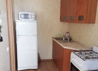 1-комнатная квартира на продажу, 30.3 м2, Новгородская область, Озёрная улица, 14к1