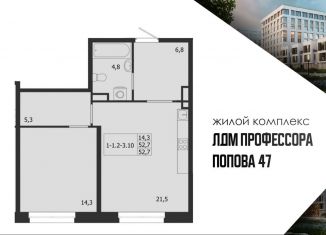 Продаю 2-комнатную квартиру, 52 м2, Санкт-Петербург, улица Профессора Попова, 42, муниципальный округ Чкаловское