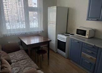 Однокомнатная квартира в аренду, 36 м2, Подольск, улица Академика Доллежаля