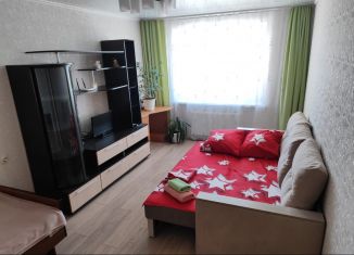 1-комнатная квартира в аренду, 45 м2, Чебоксары, Чебоксарский проспект, 35, Калининский район