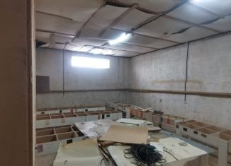 Сдается помещение свободного назначения, 200 м2, село Нижегородка, Центральная улица, 13