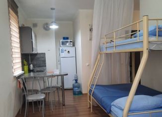 Квартира в аренду студия, 30 м2, Краснодарский край, улица Лукоморья, 1к3