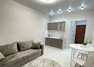 Продается квартира студия, 28 м2, Ростов-на-Дону, ЖК Платовский, улица Теряева, 4