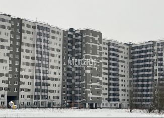 Двухкомнатная квартира на продажу, 52 м2, Санкт-Петербург, ЖК Ручьи, Пискарёвский проспект, 165к1