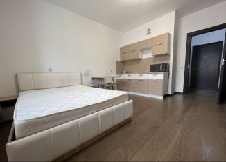 Продажа квартиры студии, 25 м2, Мурино, улица Шувалова, 25к1, ЖК Гринландия-2