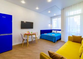 Продается квартира студия, 25 м2, посёлок городского типа Сириус, Таврическая улица, 7к7, ЖК Арт Лайт Сити