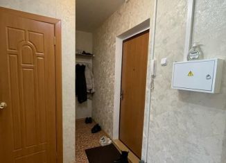 1-комнатная квартира в аренду, 36 м2, село Осиново, Садовая улица, 1