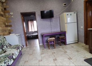 1-комнатная квартира в аренду, 35 м2, село Витязево, Черноморская улица, 69