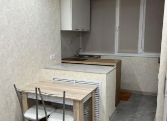 Квартира в аренду студия, 18 м2, Тюменская область, улица Республики, 239