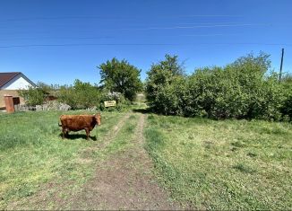 Продам земельный участок, 42 сот., село Орловка, Донская улица