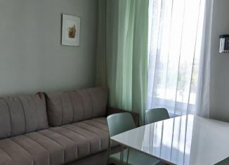 2-комнатная квартира в аренду, 35 м2, Москва, Ботаническая улица, 33Вс1, метро Петровско-Разумовская