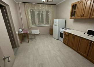 Двухкомнатная квартира в аренду, 55 м2, Москва, улица Маршала Ерёменко, 3к1, ЖК Мой Адрес в Некрасовке-2