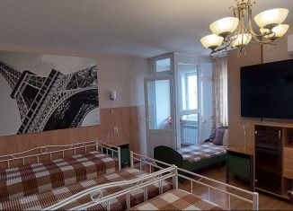 Сдается квартира студия, 50 м2, Новосибирск, улица Крылова, метро Сибирская