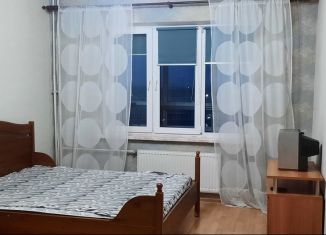 Сдается 1-комнатная квартира, 41 м2, Санкт-Петербург, Московское шоссе, 246