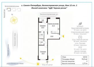 Продается двухкомнатная квартира, 70.9 м2, Санкт-Петербург, Белоостровская улица, 12, метро Чёрная речка