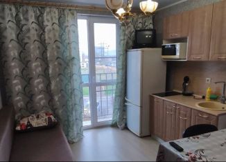 Сдаю в аренду 1-комнатную квартиру, 29 м2, Новороссийск, улица Видова, 210Г
