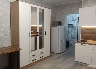 Сдается в аренду 1-комнатная квартира, 25 м2, Мурино, Воронцовский бульвар, 16к2