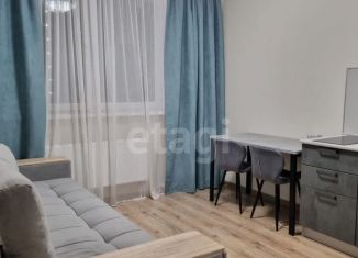 Сдача в аренду квартиры студии, 28 м2, Екатеринбург, Рощинская улица, 28