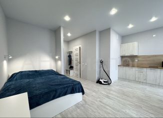 Квартира в аренду студия, 33 м2, Екатеринбург, улица Свердлова