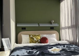 Сдача в аренду 1-ком. квартиры, 30 м2, Ленинградская область, Солнечная улица, 10к2