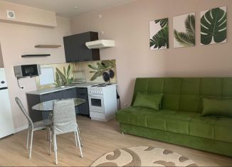 Сдаю в аренду квартиру студию, 27.4 м2, Пермь, улица Красных Командиров, 7, Индустриальный район