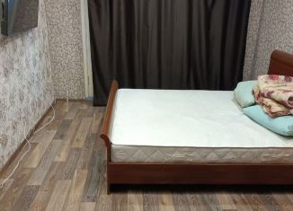 Сдам 2-комнатную квартиру, 46.6 м2, Оленегорск, Мурманская улица, 11/2