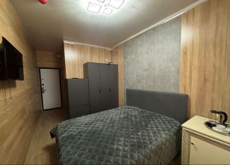 Сдам квартиру студию, 16 м2, Москва, Автозаводская улица, 23с16, ЮАО