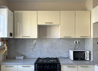 Сдается в аренду 1-ком. квартира, 33.4 м2, деревня Куюки, 13-й квартал, 7