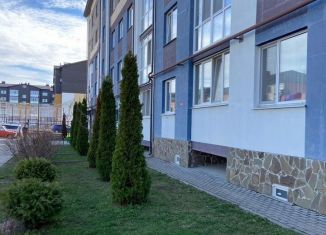 Продам 1-комнатную квартиру, 42 м2, посёлок Путёвка, микрорайон Мегаполис-Парк, 8