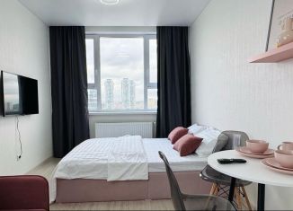 Сдается квартира студия, 33 м2, Екатеринбург, улица Фрунзе, 31