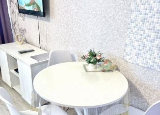 Сдается однокомнатная квартира, 34 м2, Чебоксары, улица Ленинского Комсомола, 25к1
