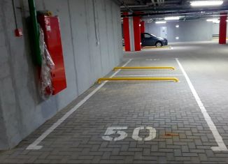 Машиноместо в аренду, 14 м2, Нижний Новгород, Ильинская улица, 85к1, метро Московская