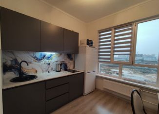 1-ком. квартира в аренду, 28 м2, Тверь, улица Левитана, 93А